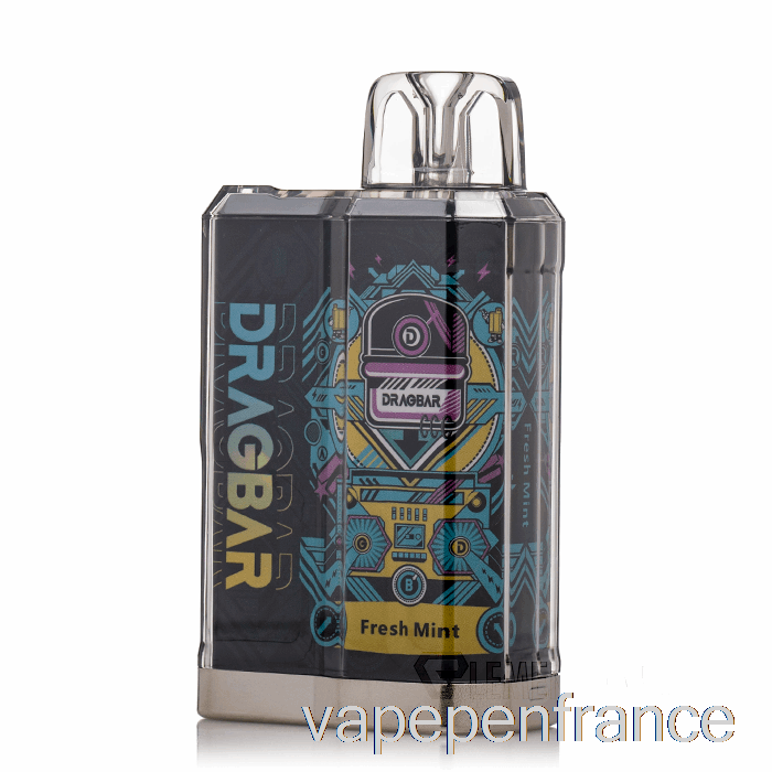 Stylo Vape Jetable à La Menthe Fraîche Dragbar B3500